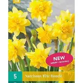 JUB X 5 Narcissus Tête Bouclé