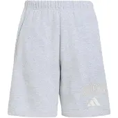 Adidas Seasonals Collegiate Typography Korte Broek