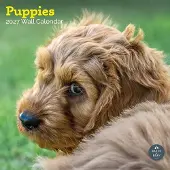 Baker & Bray Puppies Kalender 2027