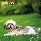 Baker & Bray Shih Tzu Kalender 2027