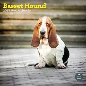 Baker & Bray Basset Hound Kalender 2027