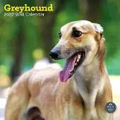 Baker & Bray Greyhound Kalender 2027