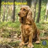 Baker & Bray Engelse Cocker Spaniel Kalender 2027