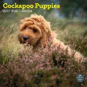 Baker & Bray Cockapoo Puppies Kalender 2027