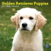 Baker & Bray Golden Retriever Puppies Kalender 2027