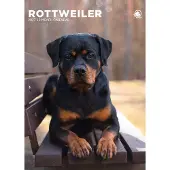CalendarsRUs Rottweiler A3 Kalender 2027