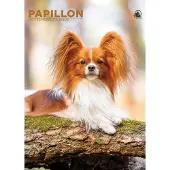 CalendarsRUs Papillon A3 Kalender 2027