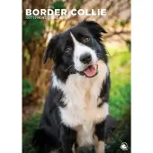 CalendarsRUs Border Collie A3 Kalender 2027