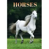 CAROUSEL CALENDARS Paarden A5 Agenda 2027
