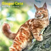 Baker & Bray Rode Katten Kalender 2026