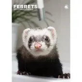 CalendarsRUs Fretten A3 Kalender 2027