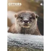 CalendarsRUs Otter A3 Kalender 2027