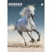 CalendarsRUs Paarden A3 Kalender 2027