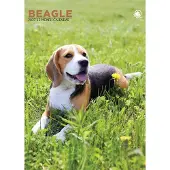 CalendarsRUs Beagle A3 Kalender 2027