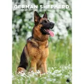 CalendarsRUs Duitse Herder A3 Kalender 2027