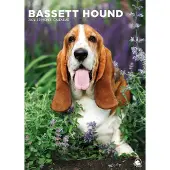CalendarsRUs Basset Hound A3 Kalender 2027