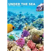 CalendarsRUs Onderwaterwereld A3 Kalender 2027