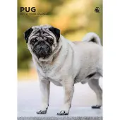 CalendarsRUs Mopshond A3 Kalender 2027