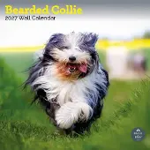 Baker & Bray Bearded Collie Kalender 2027
