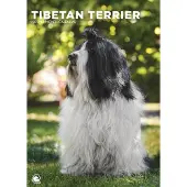 CalendarsRUs Tibetaanse Terrier A3 Kalender 2027