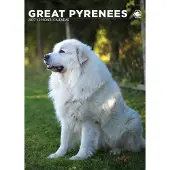 CalendarsRUs Pyreneese Berghond A3 Kalender 2027