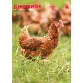 CalendarsRUs Kippen A3 Kalender 2027
