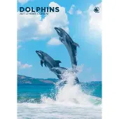 CalendarsRUs Dolfijnen A3 Kalender 2027