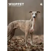 CalendarsRUs Whippet A3 Kalender 2027