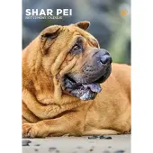 CalendarsRUs Shar Pei A3 Kalender 2027