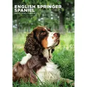 CalendarsRUs Engelse Springer Spaniel A3 Kalender 2027