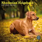 Baker & Bray Rhodesian Ridgeback Kalender 2027