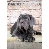 CalendarsRUs Mastino A3 Kalender 2027
