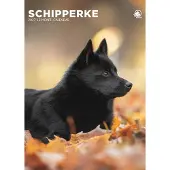 CalendarsRUs Schipperke A3 Kalender 2027