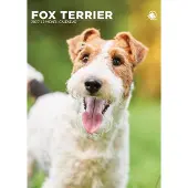 CalendarsRUs Fox Terrier A3 Kalender 2027