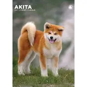 CalendarsRUs Akita A3 Kalender 2027