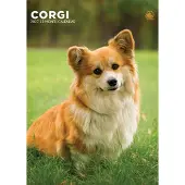 CalendarsRUs Welsh Corgi A3 Kalender 2027