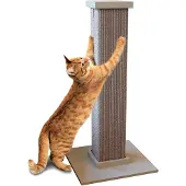 Famanu krabpaal – 81,3 cm hoog, stabiele basis