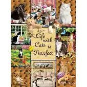 Sunsout Puzzel, Katten, 1000 stukjes, kleurrijk speelgoed
