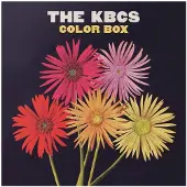 Bigwax Dis Cnt COLOR BOX