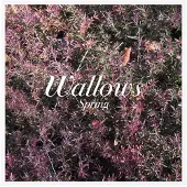 Warner - Spring (Green & Pink Coloured) (12" Vinyl)