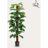 Green Boutiq Monstera Deliciosa - kunstplant - 180 cm