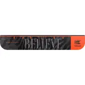 Target Raymond van Barneveld Throw Line