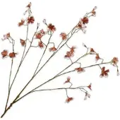 Silk-ka Kunstbloem Gaura Crème / Bruin H 14 Cm