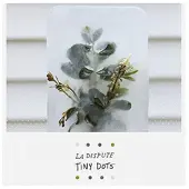 Cd Tiny Dots