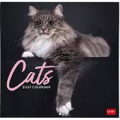 Legami Katten Kalender 2027