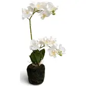 Oosterik Home Orchidee wit in pot H 38 cm kunstplant