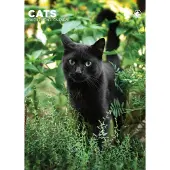 CalendarsRUs Katten A3 Kalender 2027
