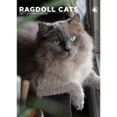 CalendarsRUs Ragdoll A3 Kalender 2027