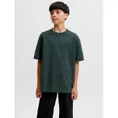 Jack & jones Junior Shirt 'JJEBARRON' donkergroen