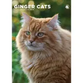 CalendarsRUs Rode Katten A3 Kalender 2027